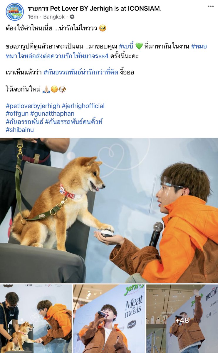 51 รูป เยอะมาก ทุกคนอย่าลืมไปกดไลก์และเม้นกันเยอะๆน้า ทางงานเขาถ่ายรูปมาฝากเยอะเลย มีแต่รูปสวยๆเลยน้า น่ารักมาก🥹🧡👶🏻🤲🏻

>>> facebook.com/296114620902/p…

#หมอหมาใจหล่อSS4 
#GunAtthaphan #กันอรรถพันธ์