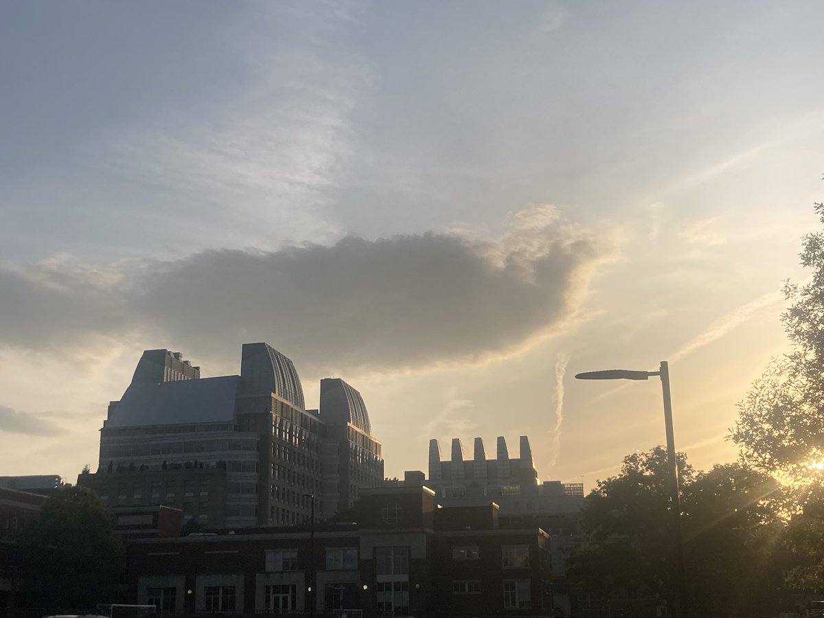 Thank you again <a href="/AIMSatVandy/">Advanced Imaging Mass Spec Lab Course</a> for putting on the amazing  #aims2022 workshop! The combination of lectures and hands on work are incredibly valuable as I’m working to grow into the imaging mass spec space! (Also all the participants and instructors were amazing)