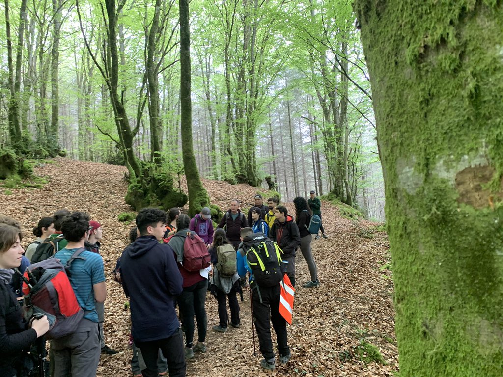 escuelassj's tweet photo. #FemEscola
#JesuitasValencia #150SJ
#150años  #150anys 

#adentraTE

Dia 4 - etapa 3 👣 
Betelu - Bidegoian 

Seguim amb bon temps i amb moltes ganes d’arribar a #Loiola 
Demà es un dia ple d’emocions ✨

#BuenasNoches
#BonaNit 

#CaminoIgnaciano
#CamiIgnasia
#IgnaziotarBidea https://t.co/Y6EuiOrYiQ