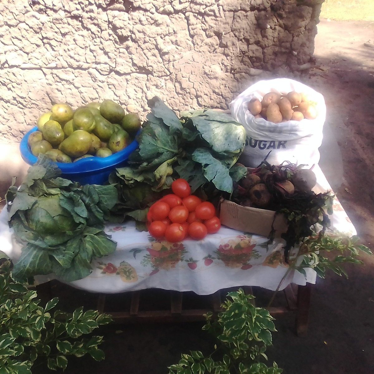 gohumanityworld's tweet photo. #FoodSecurity Project team Kenya Humanist Alliance has been at it again, making fruit juices for malnourished hospital patients and providing fresh produce to widows living in a local slum! #HumanismAtWork 

Read more: https://t.co/N4VsQOQIAw https://t.co/Y91jzk67yf