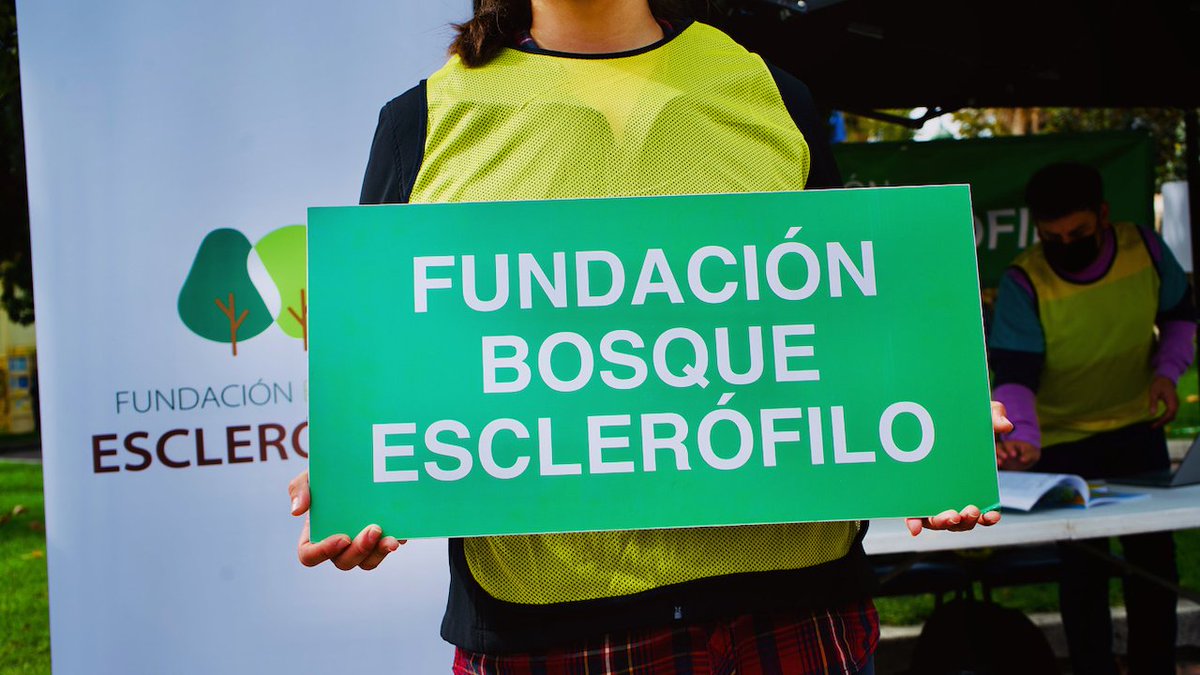 mediarandomco's tweet photo. ¡Comparte, apoya y difunde!
Ver más...
https://t.co/HgVZ5NyByx https://t.co/rjhXaM3O37