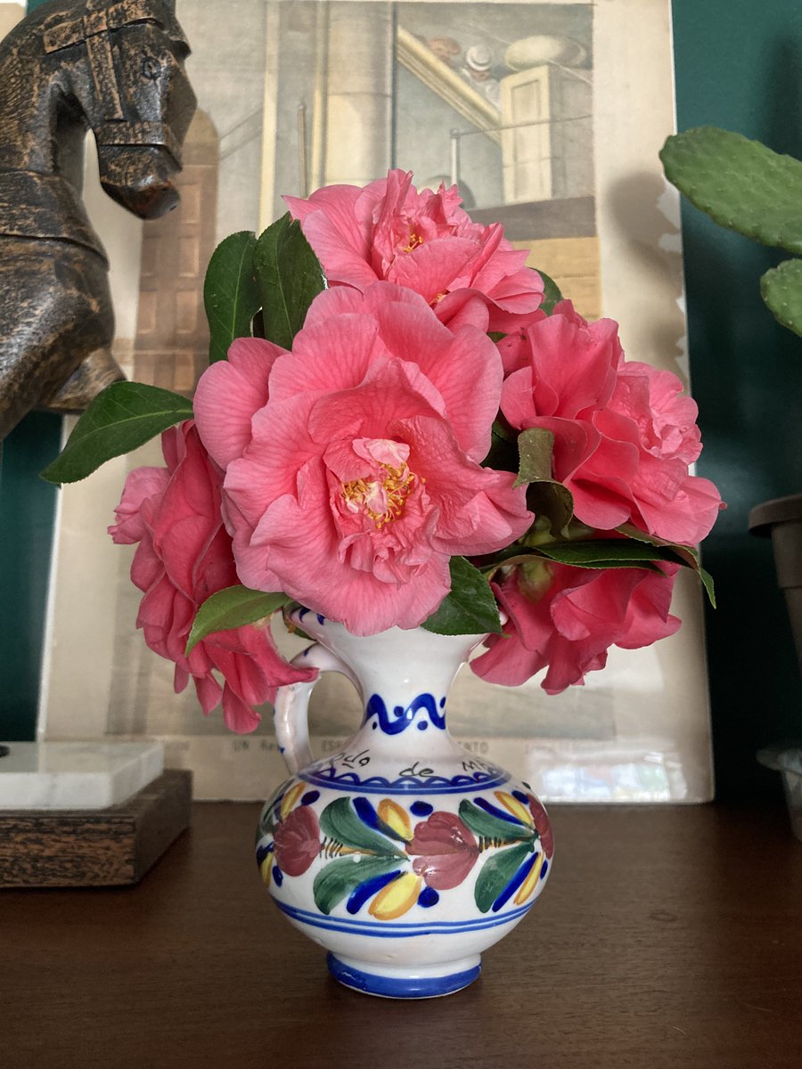 Rachelschmid's tweet photo. From the garden https://t.co/zEgIcIRiHA
