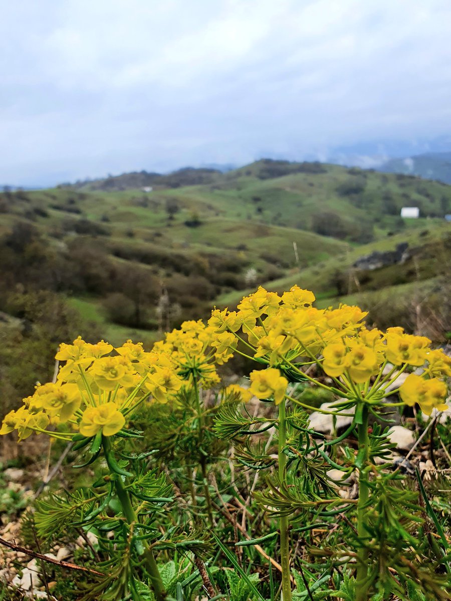 Tweets_KH's tweet photo. #SaveKomarnica #spasimoKomarnicu 3rd day #sustainability minds of #biodiversity #conservation #adventuretravel #ruraldevelopment working together 💦🌿💚 to help keep the promises of #MontenegroWildBeauty #PlanDoCheckAct #SavetheBlueHeartofEurope with the example of @ECOALBANIA1 https://t.co/13mOvCW8fX