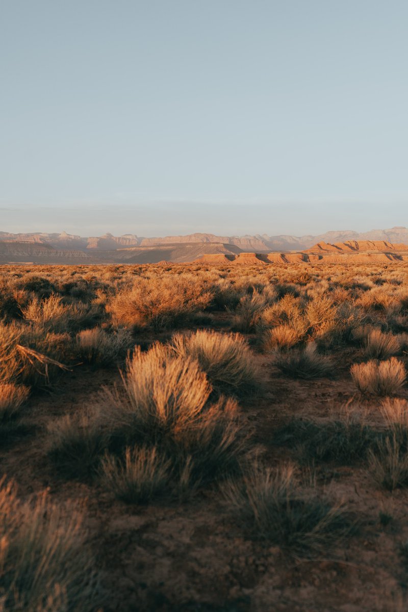 thejosephchoi's tweet photo. Chasing after the campsite views.
#overlanding #adventure #utah https://t.co/78CDKUr7t2