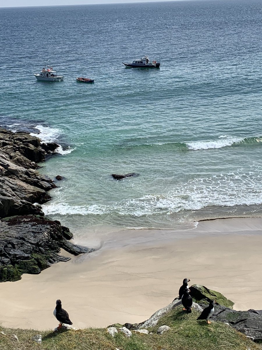 Love this picture from Mingulay today of the the Puffins looking out over our boat and <a href="/MingulayT/">Mingulay Boat Trips</a> 

We had a great day and took lots of photos and videos including some of us going through the natural arch, make sure to follow us so your notified when we post them