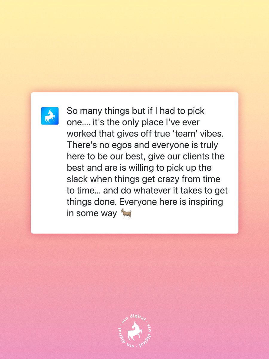STNDigital's tweet photo. We are always looking for more talent to add to our good vibes ✨  So we asked our GOATs to share some of their favorite things about working at STN! Head to the link to check out our open roles. https://t.co/Yyv2v0Ad7H https://t.co/Fn5qsxmWcZ