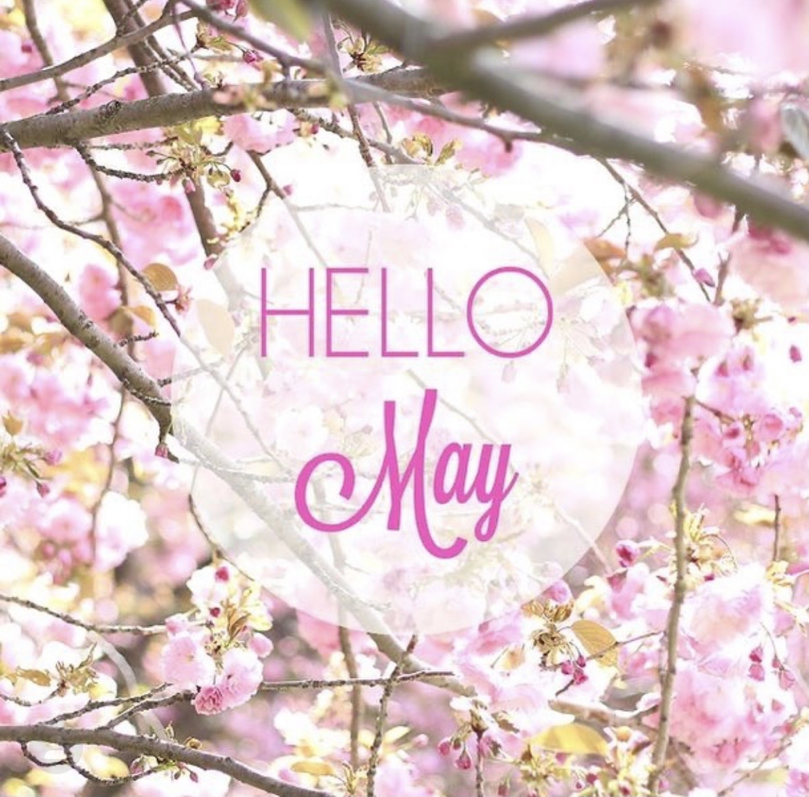KRSCPAS's tweet photo. Hello #May !!! New month, new goals, new mindset. Comment below if you are ready to take on this month! #newmonth #goals #may2022 #work #worklifebalance #quotes #motivation #motivationalquotes #goalsetting #letsdothis https://t.co/Mw69AQUt06