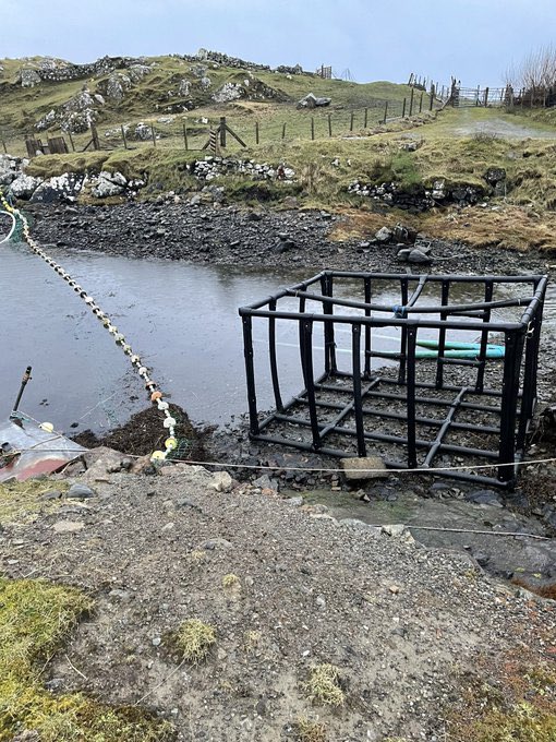 <a href="/andrholder/">Andrew Holder</a> <a href="/sjjo81/">Stephen Offord</a> @Suesea123 @howardlwood @marinescotland <a href="/MairiGougeon/">Mairi Gougeon</a> <a href="/scotseafarms/">Scottish Sea Farms</a> <a href="/MowiScotlandLtd/">Mowi Scotland Limited</a> <a href="/salmon_scottish/">Scottish Salmon Co.</a> <a href="/ScotlandSalmon/">Salmon Scotland</a> <a href="/kamesfishfarm/">Kames</a> <a href="/ScottishEPA/">Scottish Environment Protection Agency (SEPA)</a> <a href="/RSPCA_official/">RSPCA (England & Wales)</a> Brand awareness is high. Let’s see if they claim this “found artwork”….