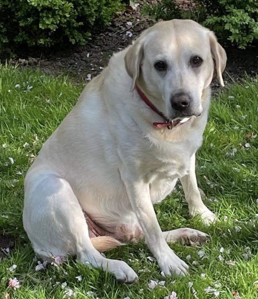 💖💕💘💖💕💞💓💗💓💞💝💘💕💖💕💞💓💗💝💘💖💞💓💓💝💘