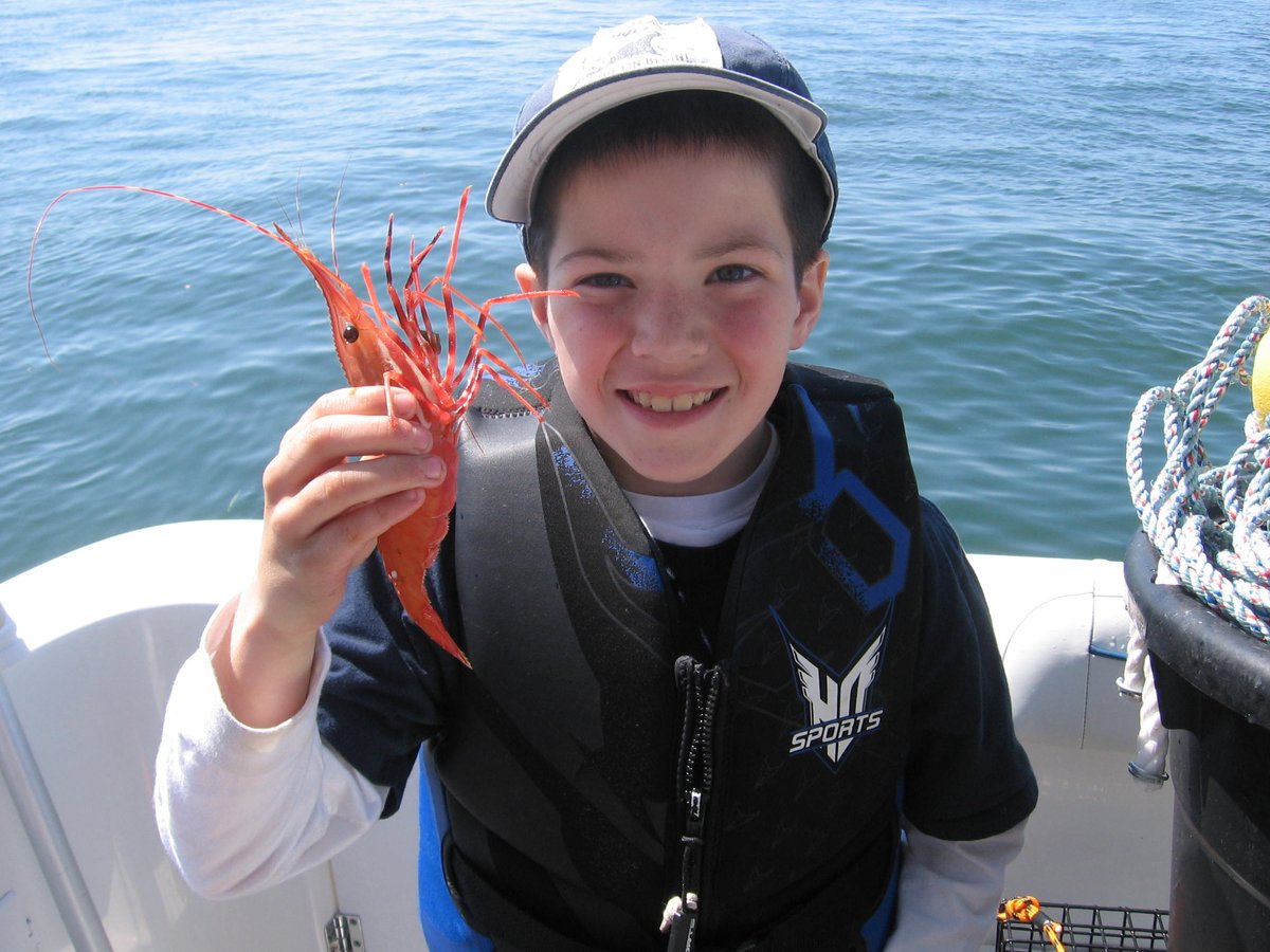 WDFW's tweet photo. Looking for what's happening around the outdoors scene? Then be sure to go to the May Weekender link for latest tips on where to go fishing, razor clam digging, turkey hunting, wildlife viewing & more at https://t.co/VyzGVHGUGa #fishing #LifeOutdoors #LifeOutdoors #FishWA #WDFW https://t.co/9R6n9wnS6s