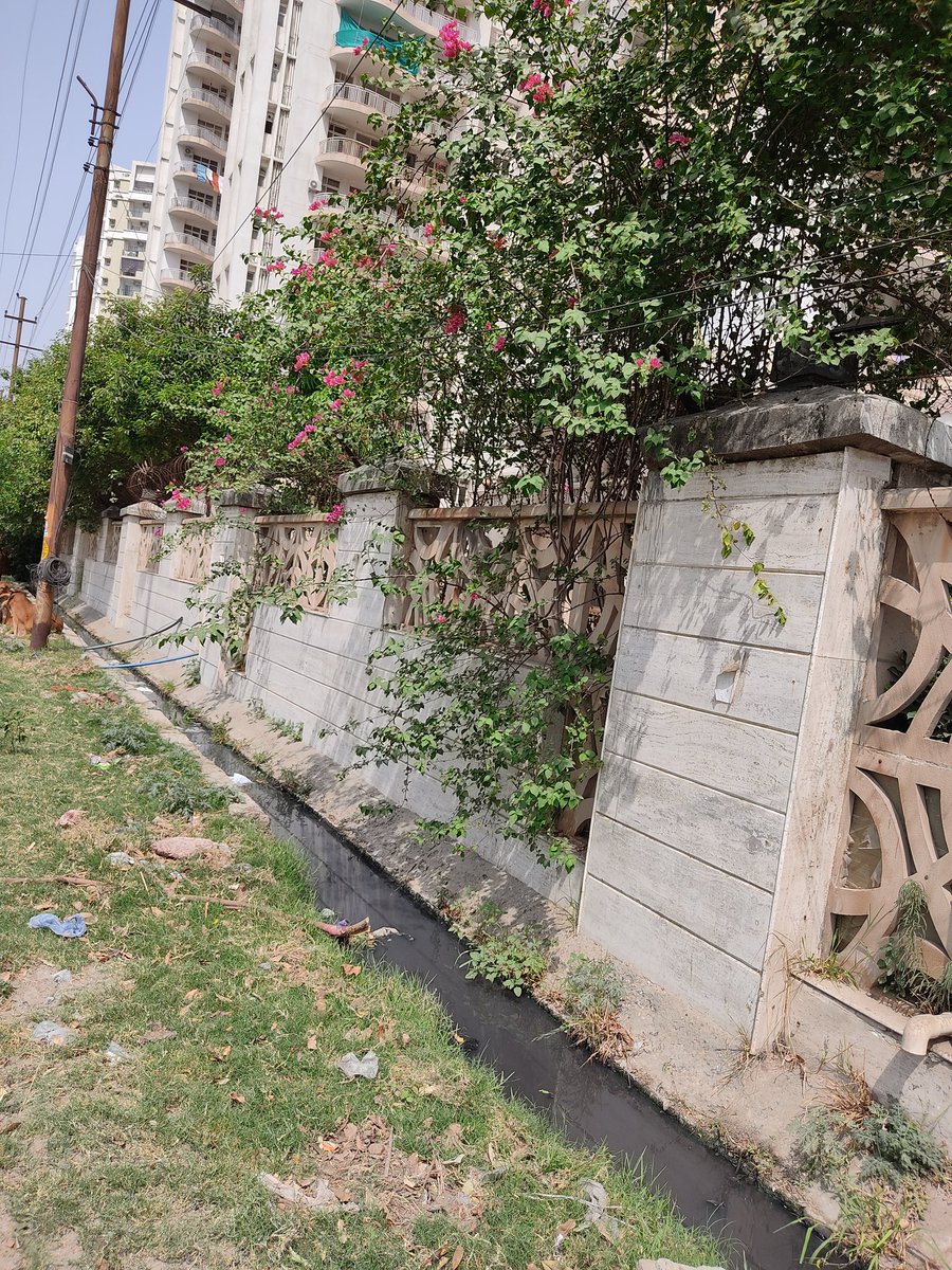 NRI_Residency's tweet photo. @cpcb_official @uppcbn Why this drain is flowing with sewage water? Look @ RED line on the map. This is how dumping sewer into drain without STP is impacting the surrounding. Please Act 🙏 @noida_authority @CeoNoida @PMOIndia  @byadavbjp @AshwiniKChoubey https://t.co/njBgoejkH7