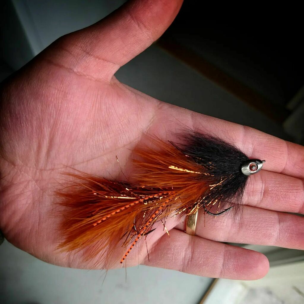 FlymenFishingCo's tweet photo. 📸: @ruggedflies the Trout are going to love this one! Nice #FishSkull too!
.
.
.
#flytying #flyfishing #tyingflies #flugbindning #fluebinding #montajedemoscas #flymenfishingco #streamerjunkie #streamerfishing #articulationnation #changeyourgame #articulatedstreamer #streamer… https://t.co/c9SLiuFxJN