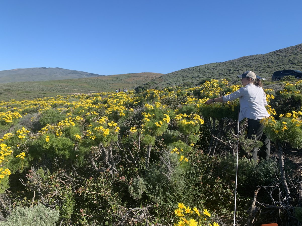 NASAExpeditions's tweet photo. With boots on the ground and eyes in the sky, scientists of the SHIFT campaign are in Santa Barbara County, California, studying some of the most diverse ecosystems in the world and how they are changing in the face of climate change. #SHIFTForScience! ๐ฅพโ๏ธ https://t.co/lqURaQf7C7