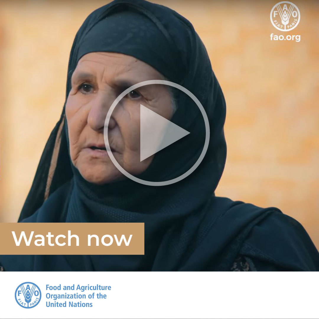 FAO Livestock on Twitter "A journey of success by FAO and MoALR with