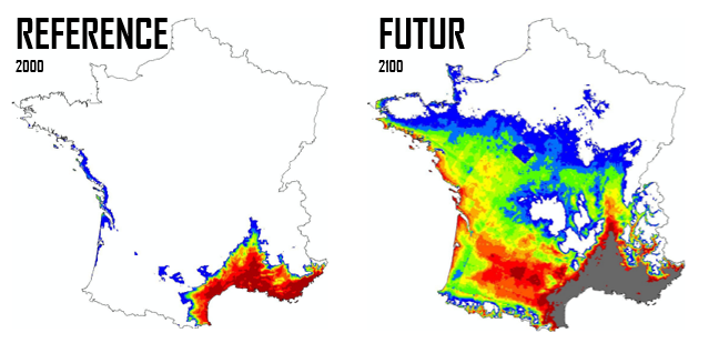 SergeZaka's tweet photo. [Thread] Le changement climatique, c'est aussi l'évolution des aires biogéographiques française.
Ainsi, le sud de la Bretagne deviendra en 2100 une nouvelle niche pour le chêne vert méditerranéen (voir la carte 👇). La garrigue poussera jusqu'à Toulouse et Lyon...
[1/3] https://t.co/C2QkRgRPRR