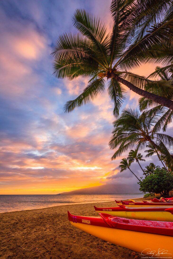Soul_Art8's tweet photo. Beautiful evening 🧡💫
#NaturePhotography #sunset #NatureBeauty #wonderful https://t.co/6bEv9YXPqL