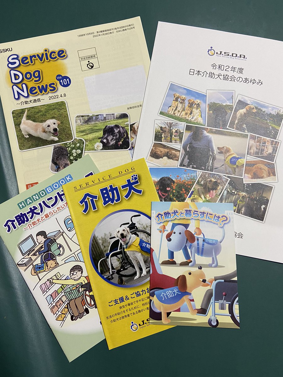 kt1103mimi's tweet photo. 日本介助犬協会から送って頂いた資料で
お勉強中✨
近い将来、真剣に介助犬を考えて居ます
まだわからないけど…家族と相談しながら前向きに考えて行きたいと思います
#JSDA_ServiceDog https://t.co/lYpf6Y1w84