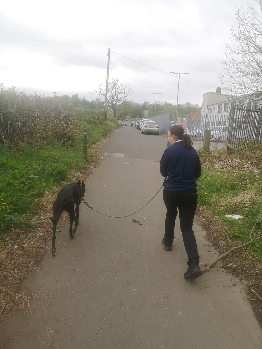 MissReillyIWBS's tweet photo. This pupil benefitted from spending some time with our school dog Toby today. 'Toby Time' can help our learners to regulate and get back on plan. Thank you @MissHedgesIWBS for bringing Toby Time to @IWBSFalkirk #watchusgrow #coregulate #regulationstrategies https://t.co/zPEfRm3KXm