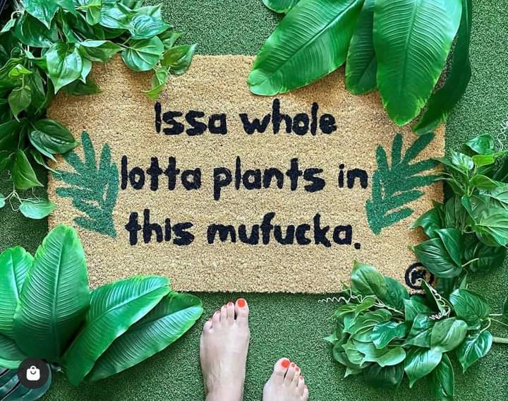 propgationation's tweet image. Happy Monday 🤙☘