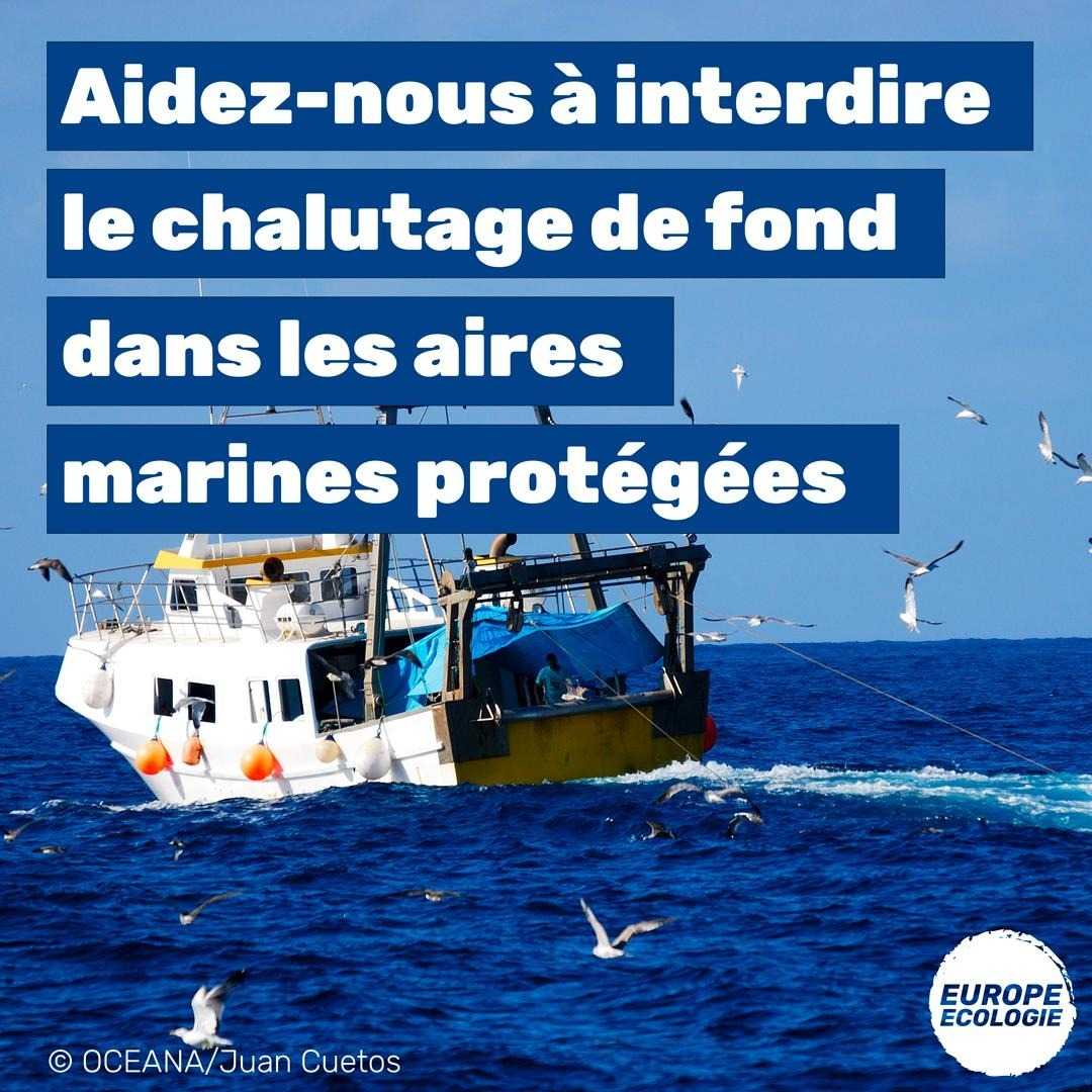 Dites à vos député-e-s de mettre fin au chalutage de fond dans les aires marines protégées🐟
Demain, l'@Europarl_FR peut faire un pas important pour protéger nos océans !

Envoyez-leur un email👉 act.greens-efa.eu/fr/fin-au-chal…

#SaveOurOceans #MEPs4MPAs