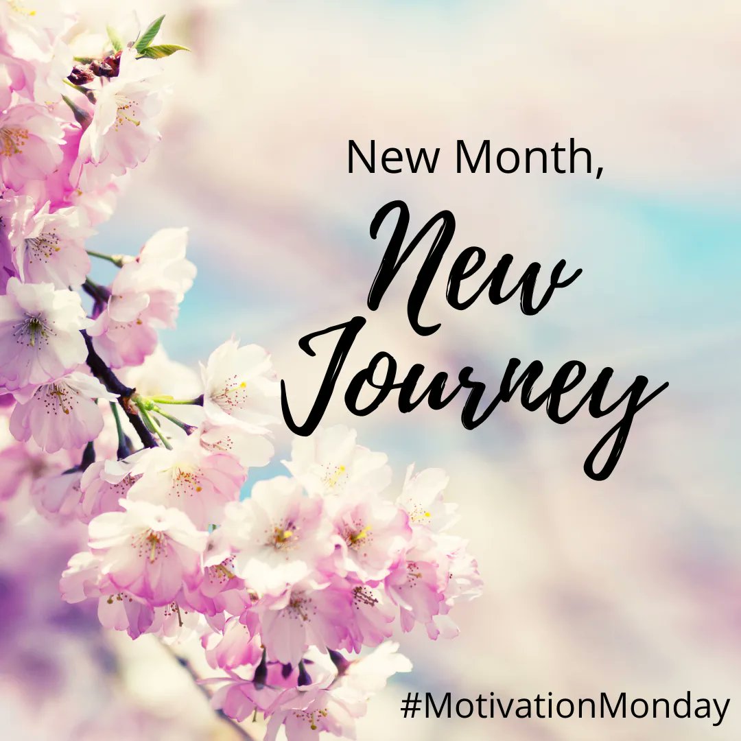 A new month has started so why not start something new for you? City School has a lot of amazing FREE courses starting this month. See what City School can do for you: mohawkcollege.ca/trycollegeforf… #MotivationMonday #trysomethingnew