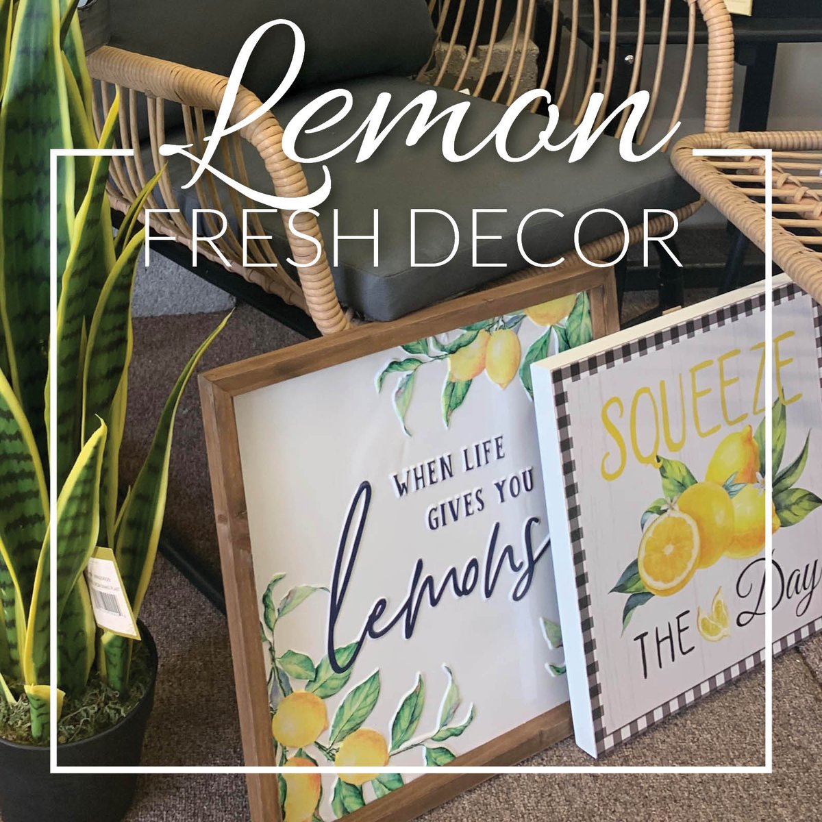 ChristmasCenter's tweet image. Refresh your spaces with some lemon fresh decor. The combination of colors and charming designs make these items the perfect addition to your home aesthetics. bit.ly/38Iqxiy #lemons #lemondecor
