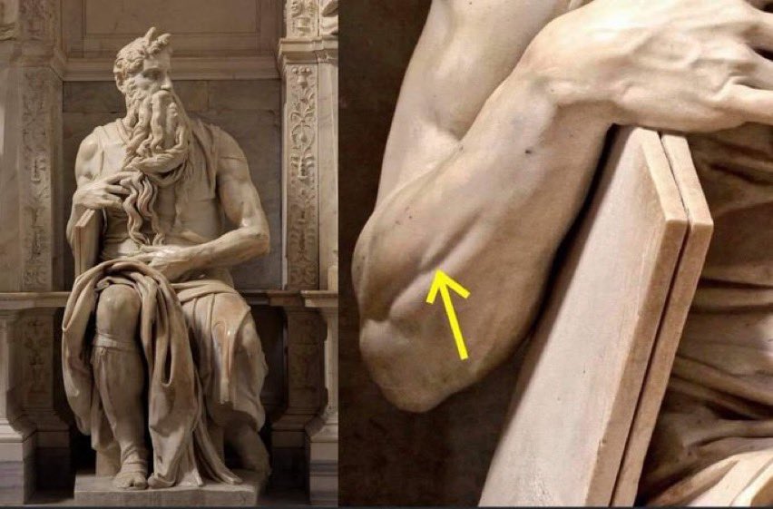 Mosè di Michelangelo, 1513

Nell'avambraccio è scolpito un piccolo muscolo che il corpo umano contrae solo quando si solleva il mignolo, altrimenti è nascosto. La perfezione è fatta di dettagli.