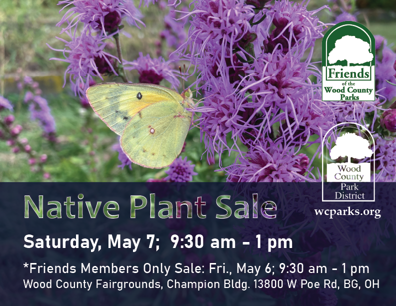 woodparkdist's tweet photo. Native Plant Sale this Saturday, May 7; 9:30 am - 1 pm at the Wood County Fairgrounds, Champion Building in Bowling Green, #ohio

#nativeplants #ClimateAction #conservation #stewardship #plants #gardening #nature #parks #area419 #thinkbgoh #bowlinggreen #flowers https://t.co/gtvv1BXKaG
