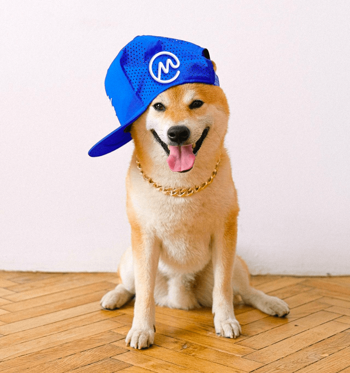 CoinMarketCap's tweet photo. This is Cappy, by the way 😎 Hola! https://t.co/RFjMq9WRJ7