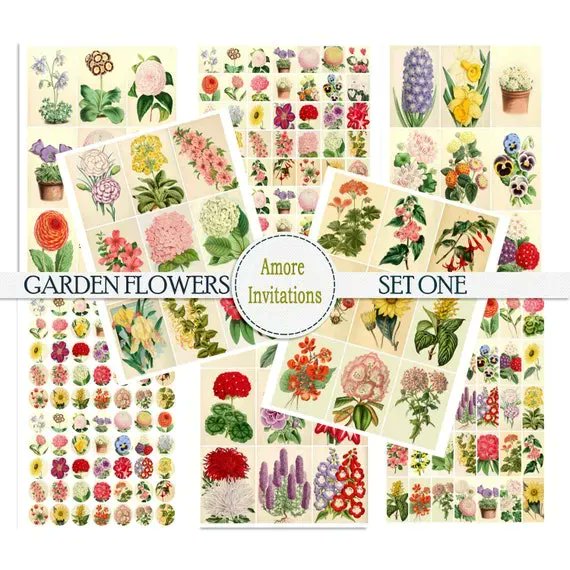 buff.ly/3EwVaTJ #floralclipart #etsy #commercialuse #junkjournal #etsylove #shopsmall #smallbusiness #crafts #craft #scrapbook #cardmaking #etsyfinds #etsyuk #scrapping #craftsupplies #etsystore #supportsmall #etsyusa #jewelrysupplies #jewelry #jewelrydesign #etsymaker