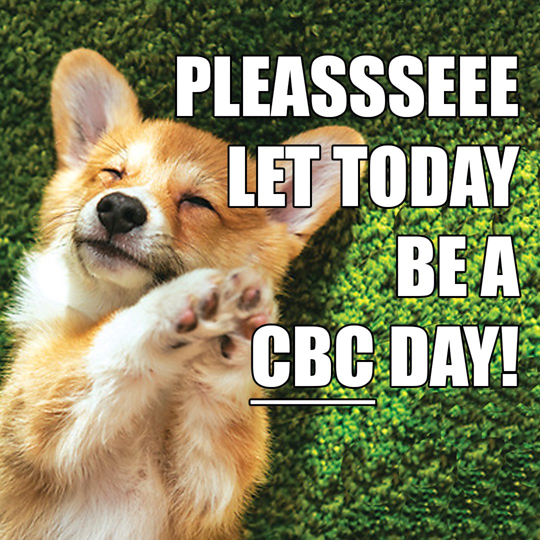 CleanBowlClub's tweet image. There's excited for food and then there's excited for CBC food! Trust us, when you switch your furry companion to our food, you WILL see a difference in your dog! #cleanbowlclubnyc
#petfood #healthydogfood #dognutrition #healthydog #caninenutrition