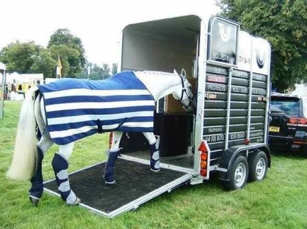 HBS Ring Ltd (@hbs_ring) on Twitter photo GET QUALIFIED - Various dates are available in May for NPTC Level 2 Award in Transport of Animals by Road, Short Journey š email train@hbsring.co.uk GET QUALIFIED - Various dates are available in May for NPTC Level 2 Award in Transport of Animals by Road, Short Journey š email train@hbsring.co.uk