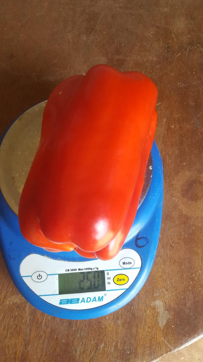 Soil Fertility Clinik Kenya tweet media