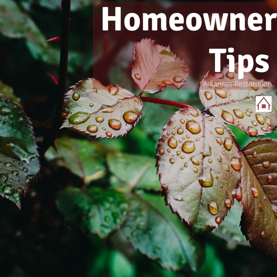ArkRestServices's tweet photo. When's the last time you got your gutters cleaned? In the rainy spring weather, it's a must! #homeownertips #homemaintenance #guttercleaning #gutter https://t.co/BnK8K5ZN00