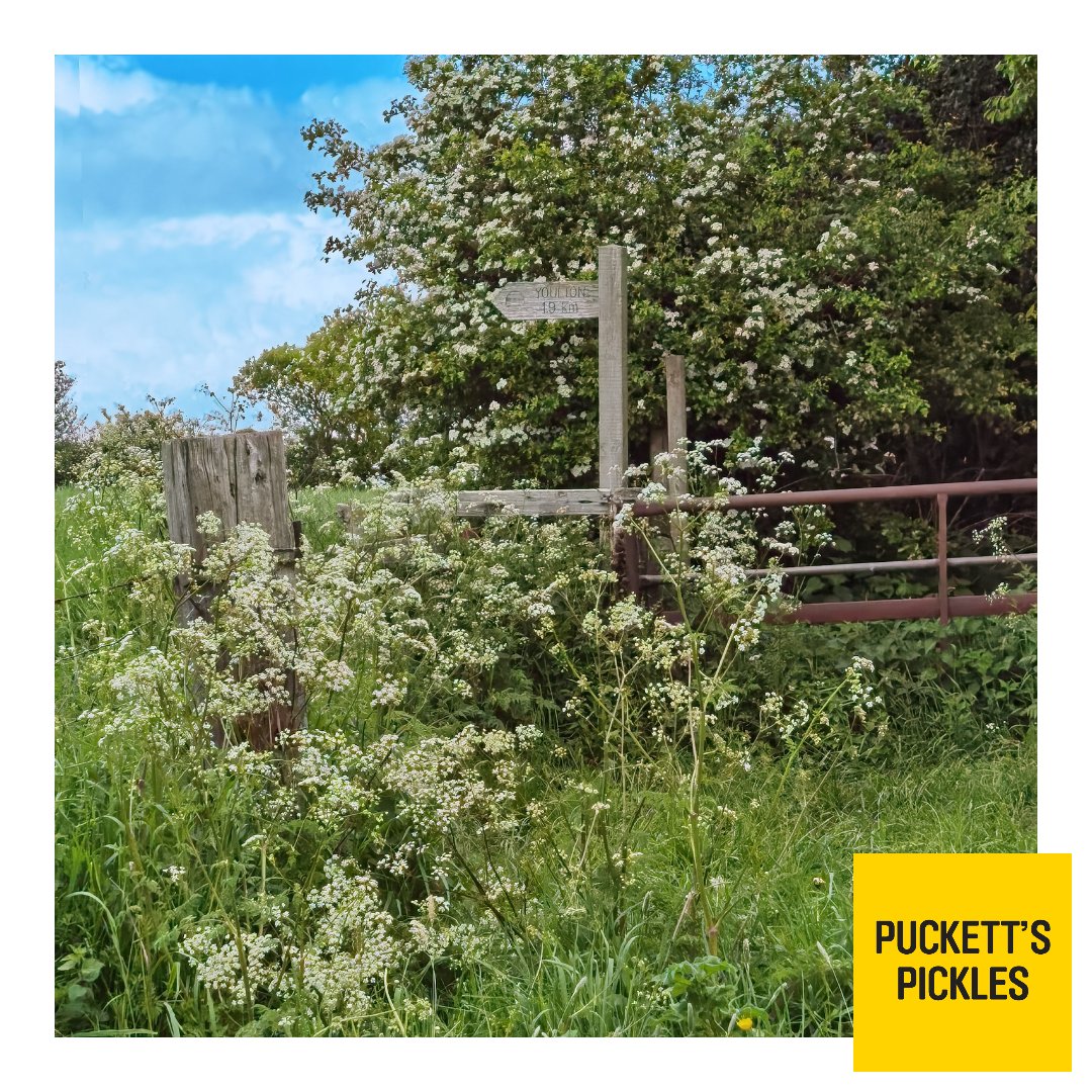 Bank holiday Monday is just the best day to go for a lovely long walk with the dogs...

It's a great way to clear your head for the busy week ahead

#bankholidaymonday #dog #walk #clearyourmind #beautiful #scenery #mothernature #countryside