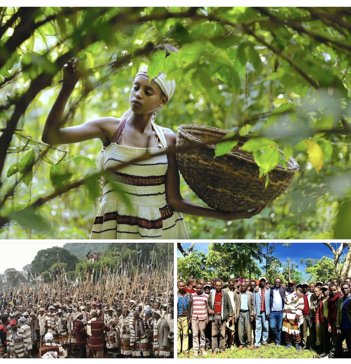 JMichael_Smith's tweet photo. Ayidde Cambalaalla!
Today/tomorrow is Fichee-Cambalaalla, a new year of the #Sidama people. #Ethiopia #Unity
Happy New Year! መልካም አዲስ አመት! Ayidde Cambalaalla!
#Fichee #Cambalaalla #Sidaama #Ethiopia https://t.co/3BOMJtHe0F