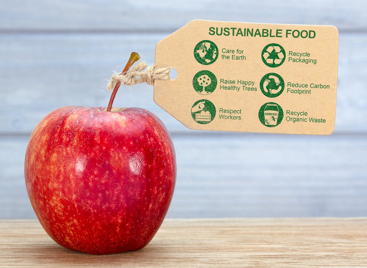 IJ_Integration's tweet photo. Part 2 of this article on @inkjetinsight talks about how #inkjet enables #sustainable solutions for #printing during the later stages of #manufacturing.

https://t.co/R6sU7oQ5X0 https://t.co/vXneznyogu