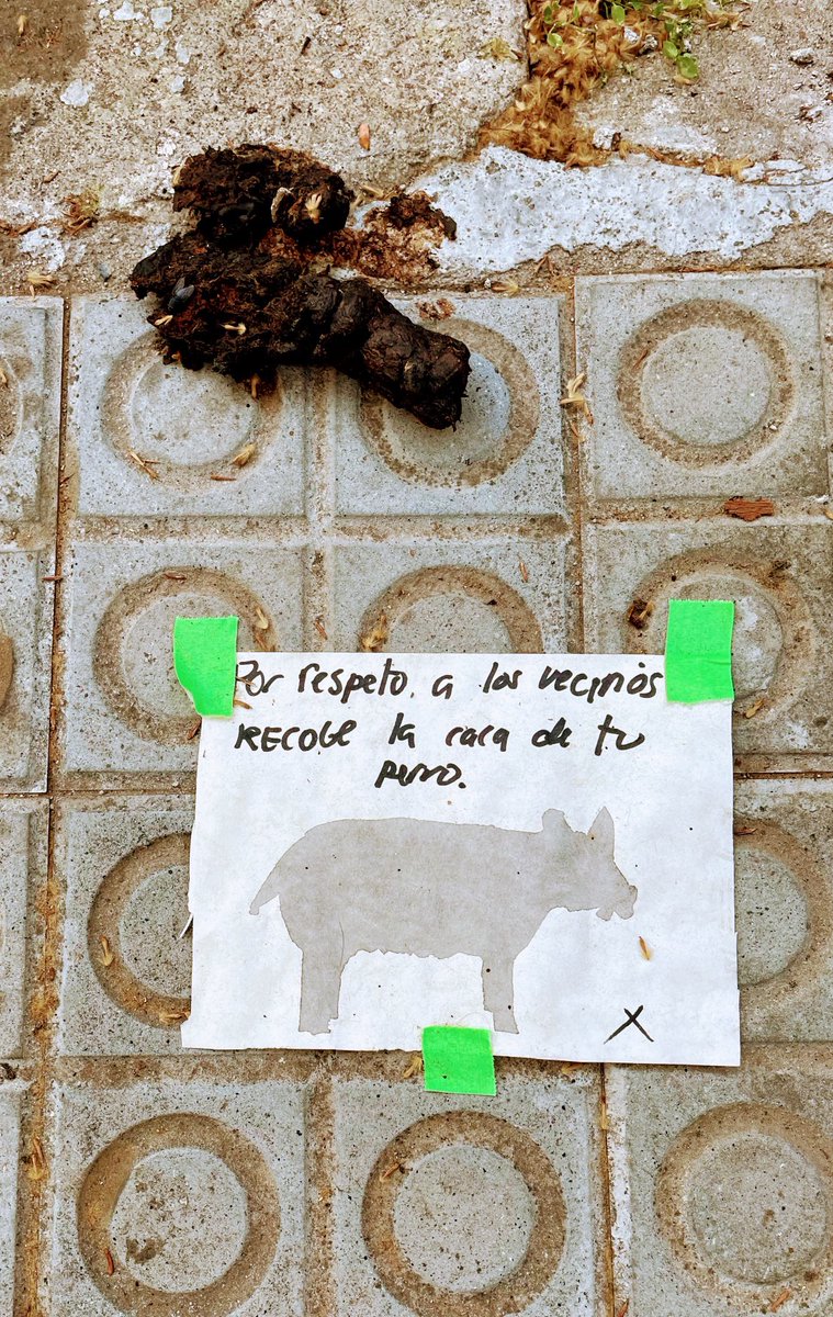 DCS_58's tweet photo. Vist al #UpperDiagonal https://t.co/JxddOMxq2W