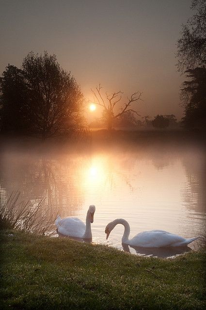 #GoodEvening to all!