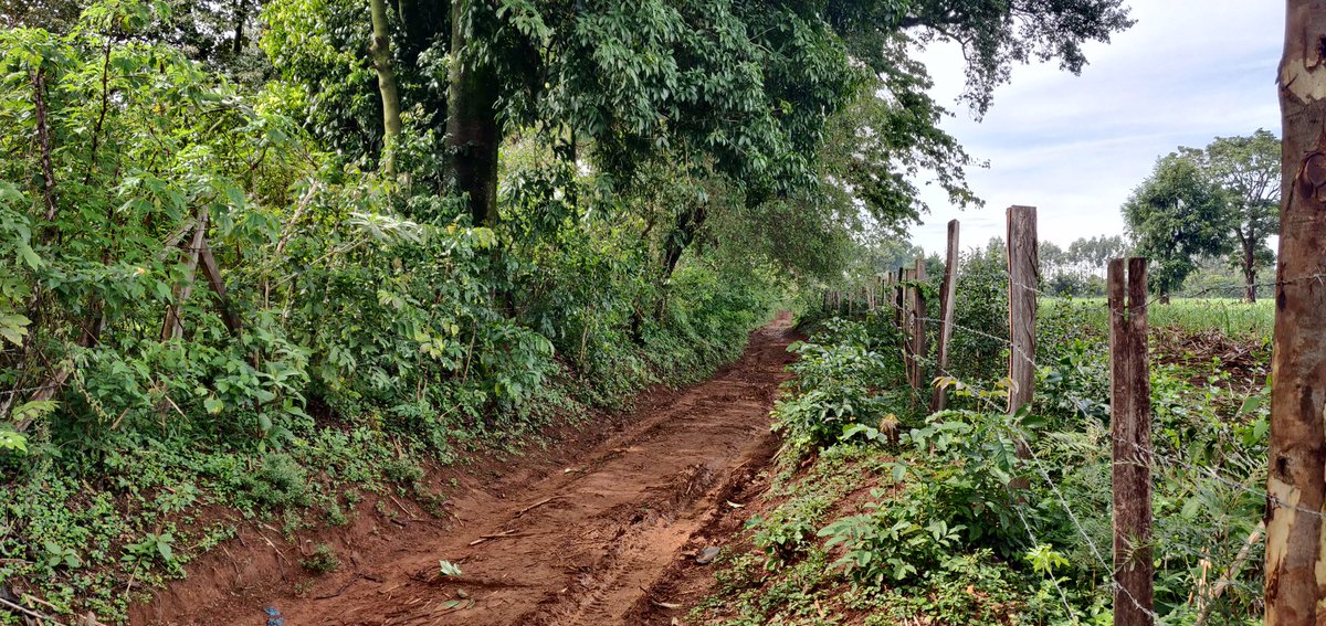 Cathy Cole Ltd tweet media