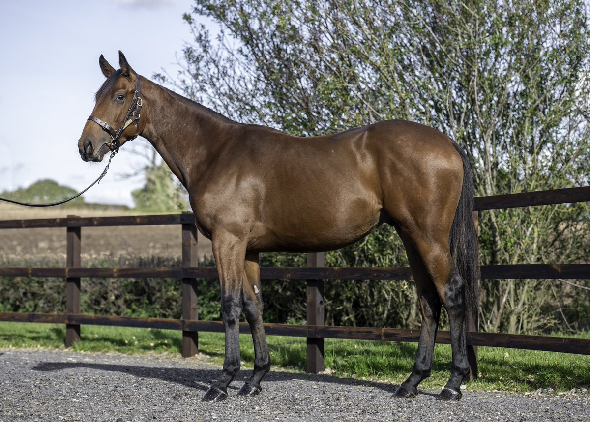 Tim Rusbridge tweet media