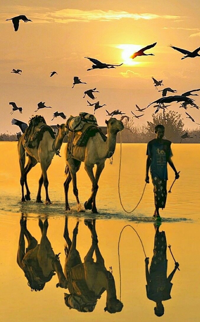 Carolyne Mbithe tweet media