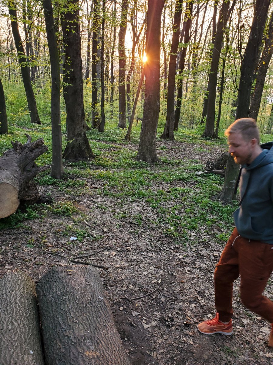Missis_Babak's tweet photo. В сихівському лісі, як в фільмі Аватар.
Все цвіте, як білі зірки. Просто фантастично красиво💔 https://t.co/UuvzQJIhzZ