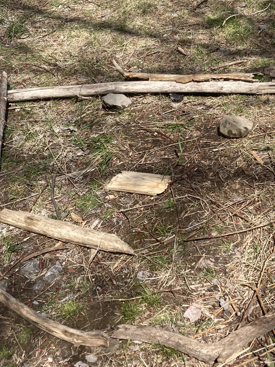 Time outside creating Andy Goldsworthy art pieces