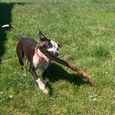OdGazda's tweet photo. #NewProfilePic https://t.co/gTwyB3qcrn