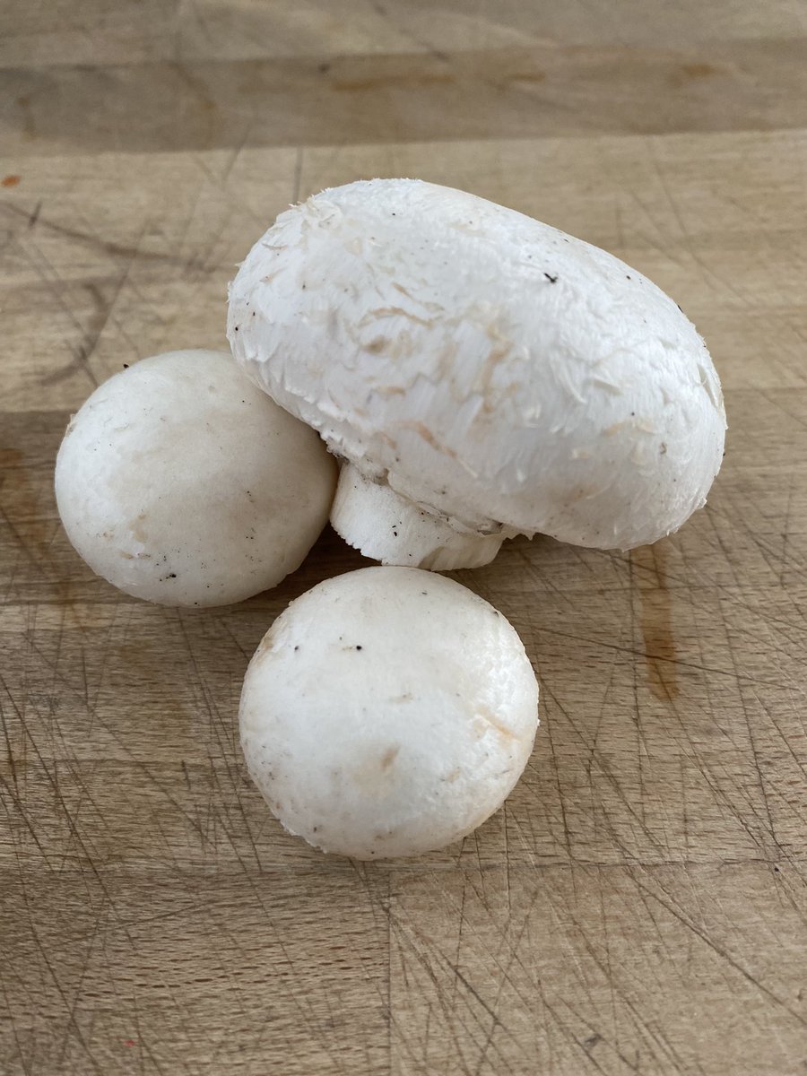 Home-grown mushrooms in today’s lentil bolognese. 🙌🏼🥰💚🍄 #veganfood