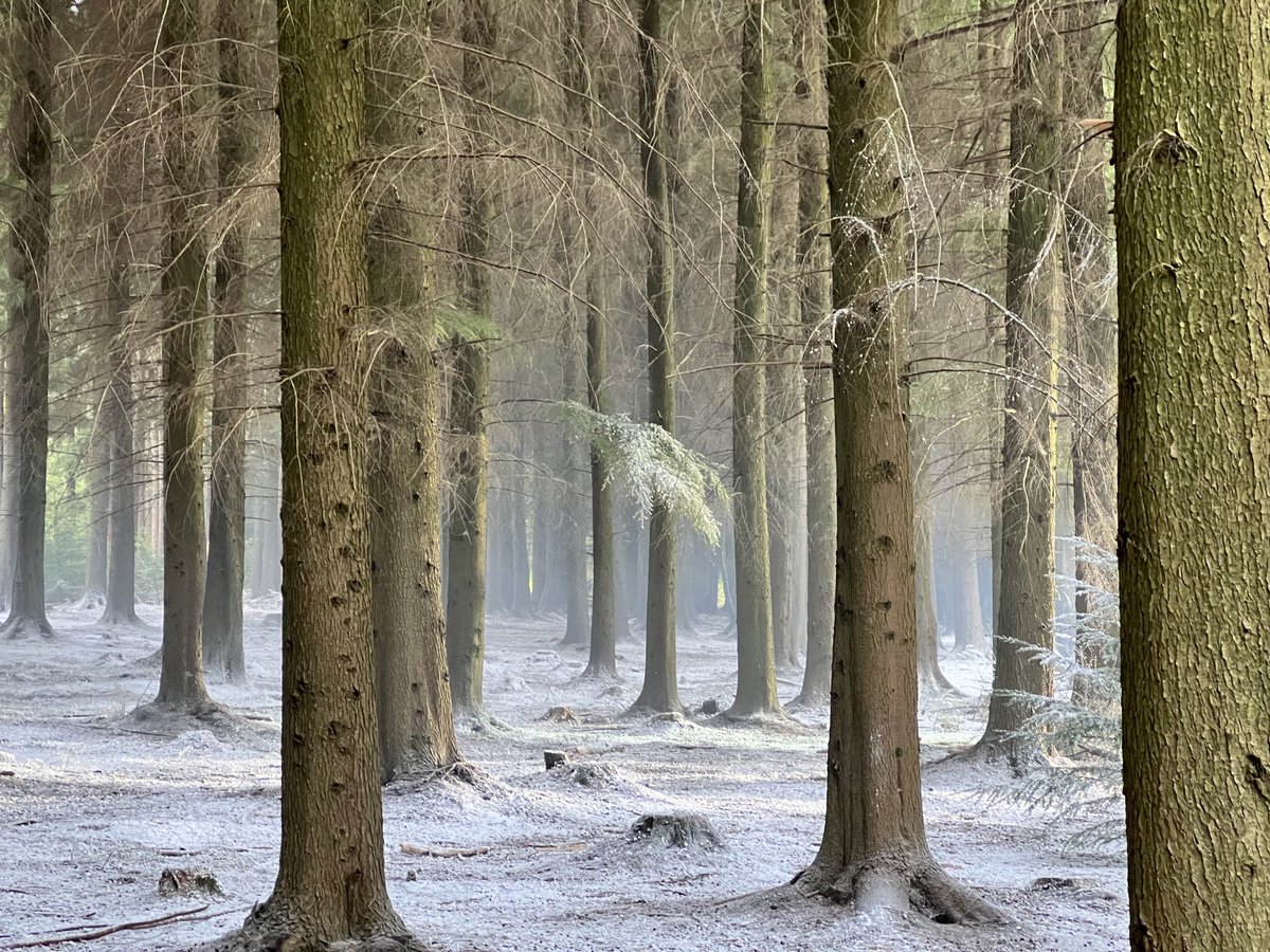 russellcrowe's tweet image. The actor prepares. #16.