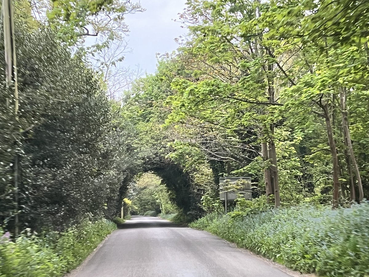 russellcrowe's tweet image. The actor prepares. #16.