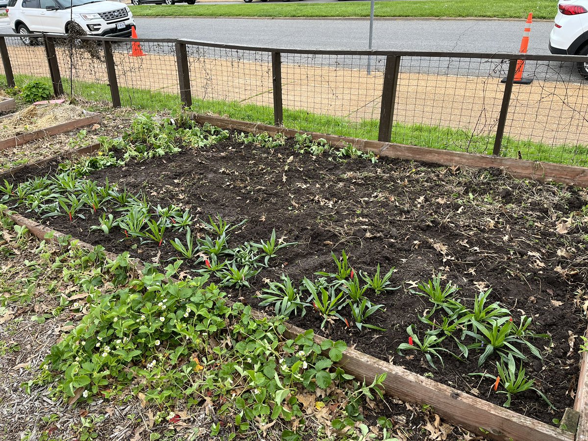 Cheyenne Morris tweet media