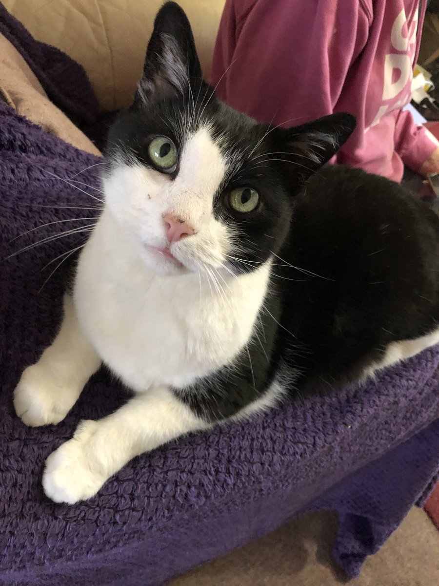 Visiting home and still looking handsome 15 years on 🐈‍⬛